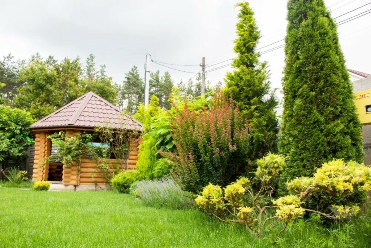 https://pskov.tgv-stroy.ru/storage/app/uploads/public/637/ef4/fb3/637ef4fb3605f391429275.png